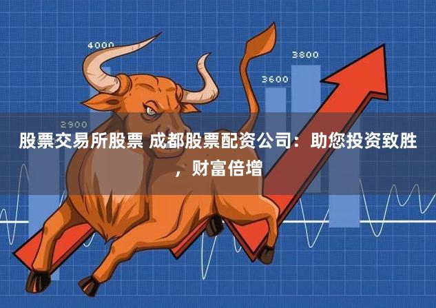 股票交易所股票 成都股票配资公司：助您投资致胜，财富倍增